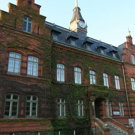 Cavallino * פלאו אם זה